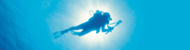 Cruise the Blue